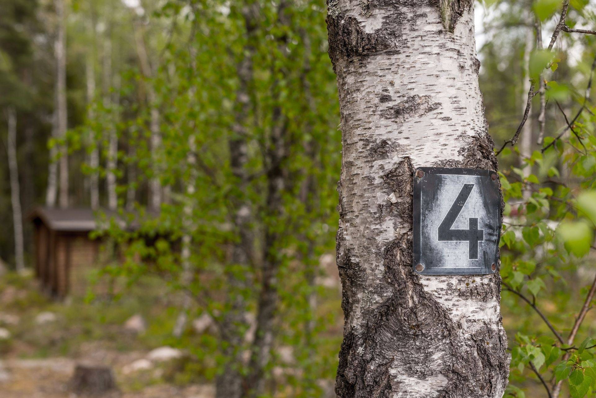 1 rum Fritidshus på Dovhjortstigen 4 Bränntorp Finspångs kommun - bild 14