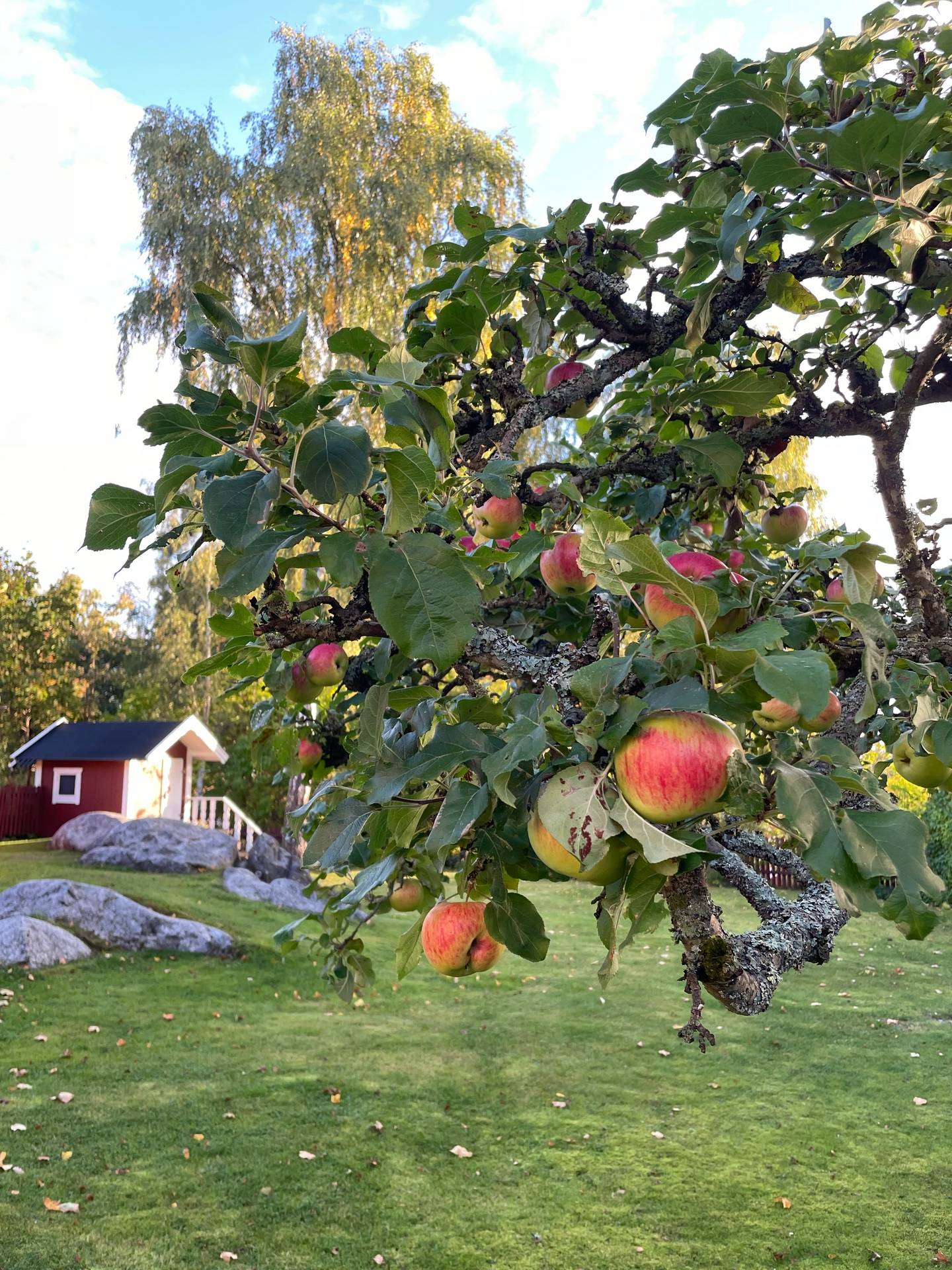 6 rum Villa på Göktytevägen 2 Sunnersta Uppsala kommun - bild 45