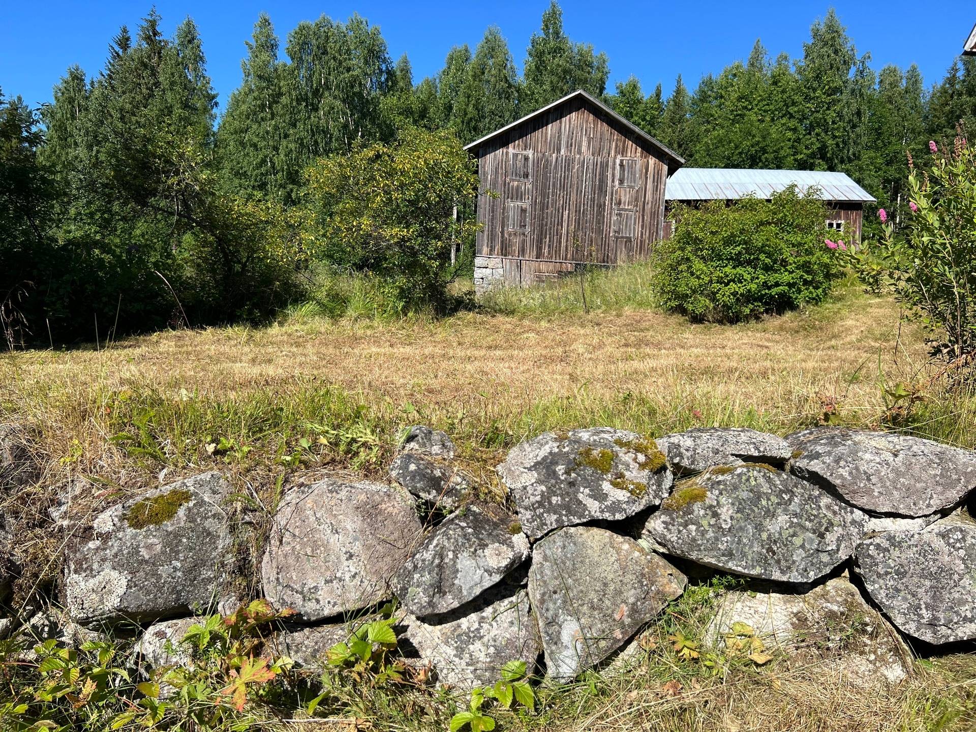 Gård/skog på Bördigt vid Norrberg LJUSDAL - NORRBERG Ljusdals kommun - bild 8