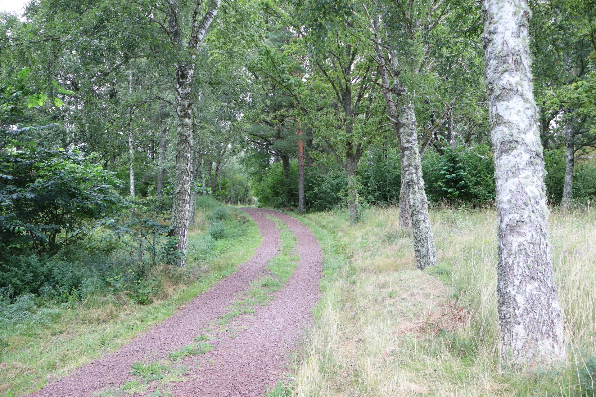 Gård med jordbruk på Stora Smedstorp Ödeshögs kommun - bild 23