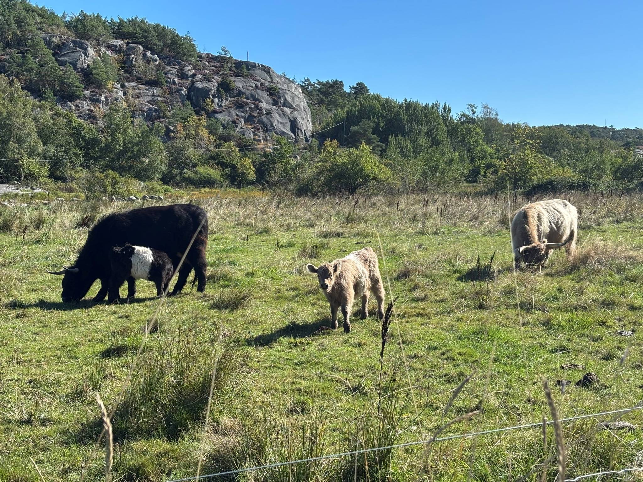5 rum Radhus på Ersåsbacken 48 Önnered Göteborgs kommun - bild 34