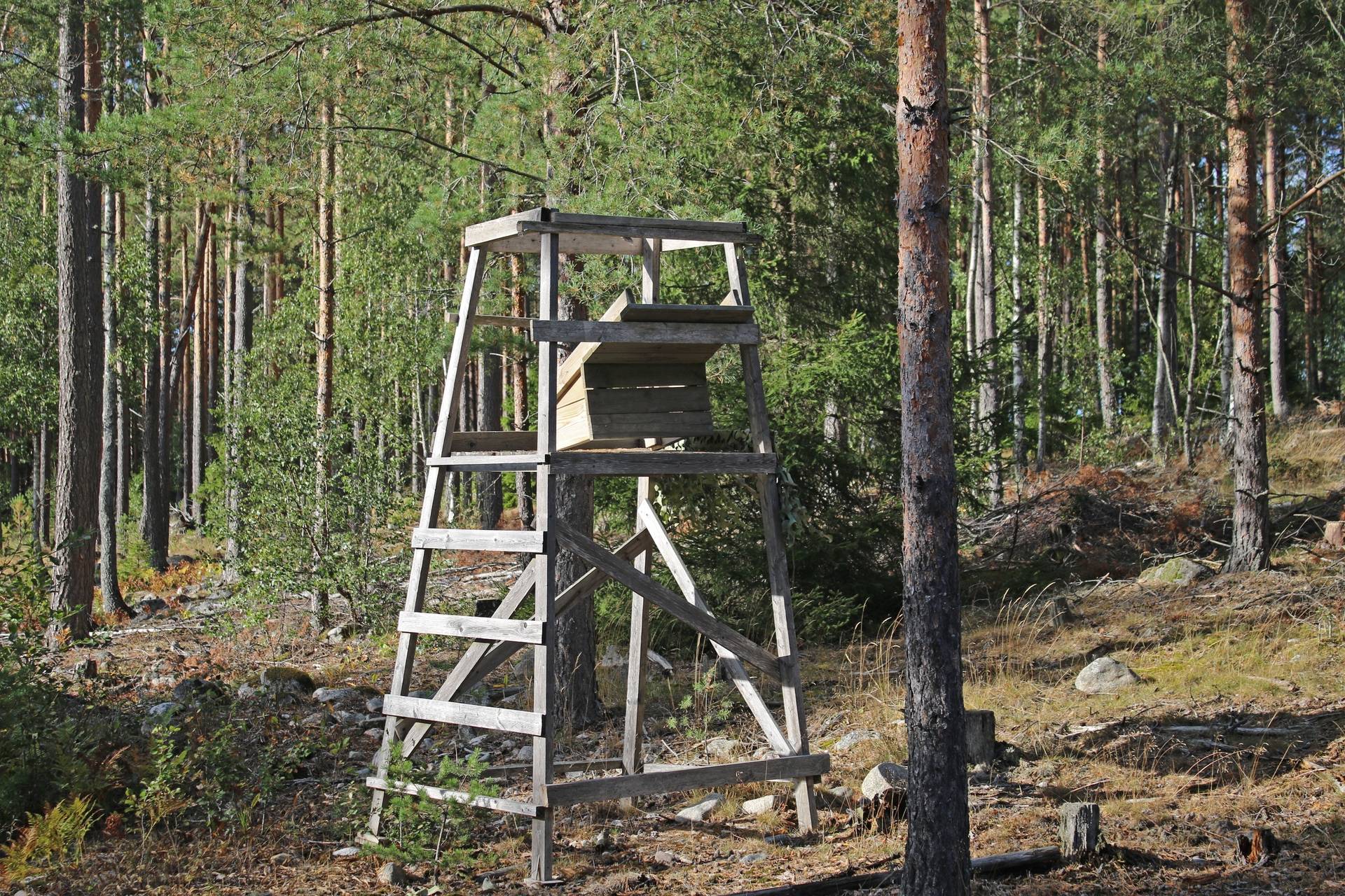 Gård/skog på Bärmö skogar Sigtuna kommun - bild 5