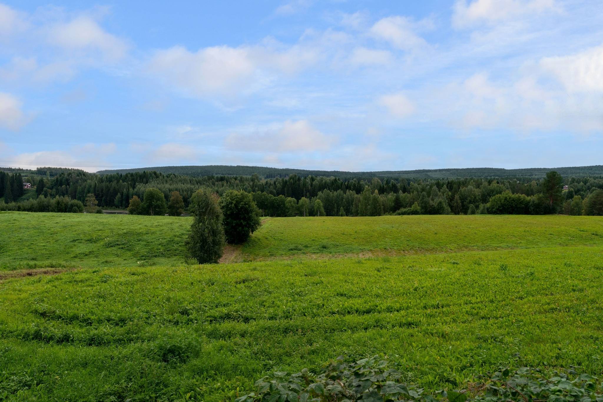 4 rum Villa på Mycklevägen 73 Myckle Skellefteå kommun - bild 2