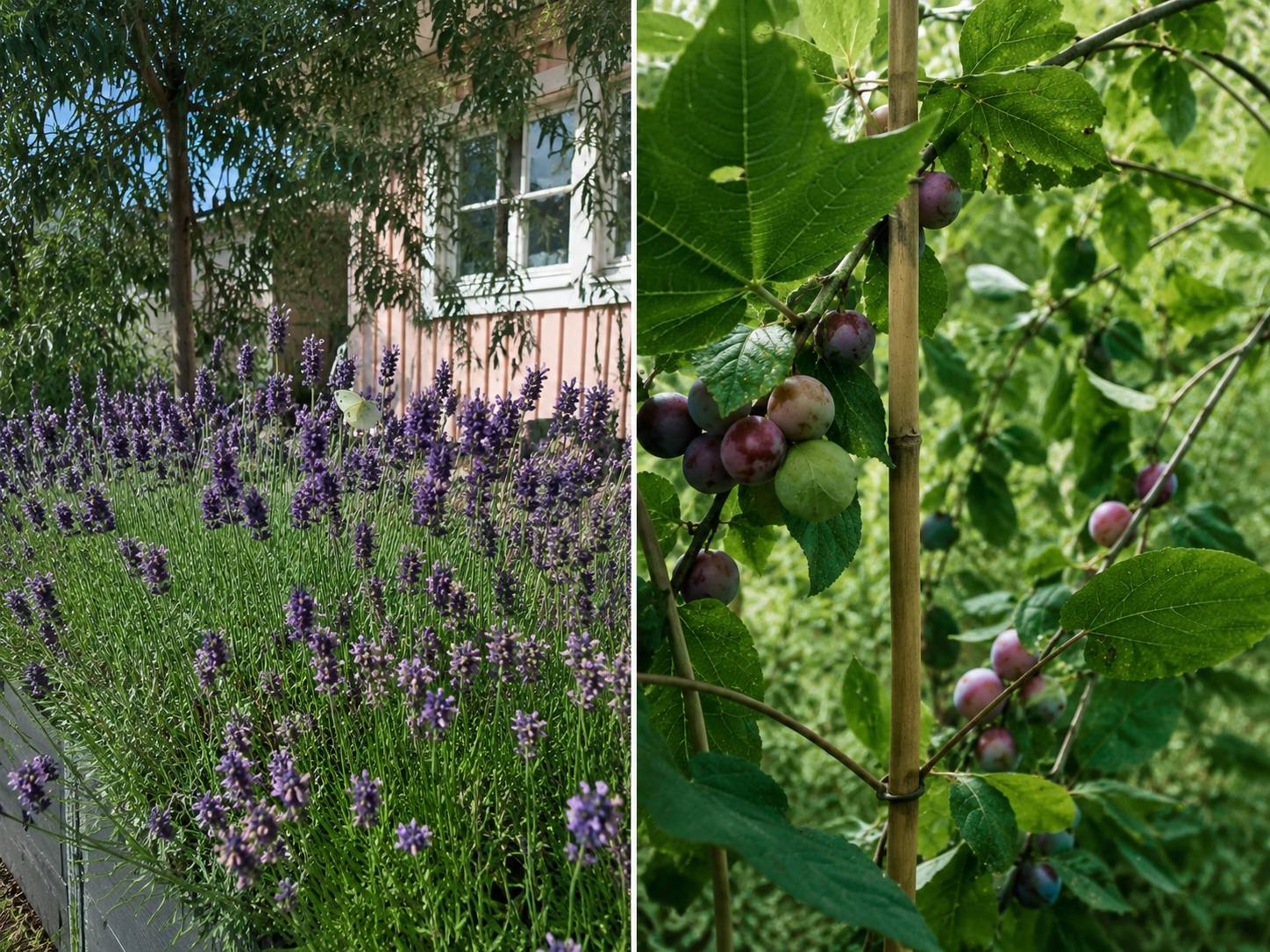 3 rum Radhus på Dianavägen 35 Eknäs Nacka kommun - bild 25
