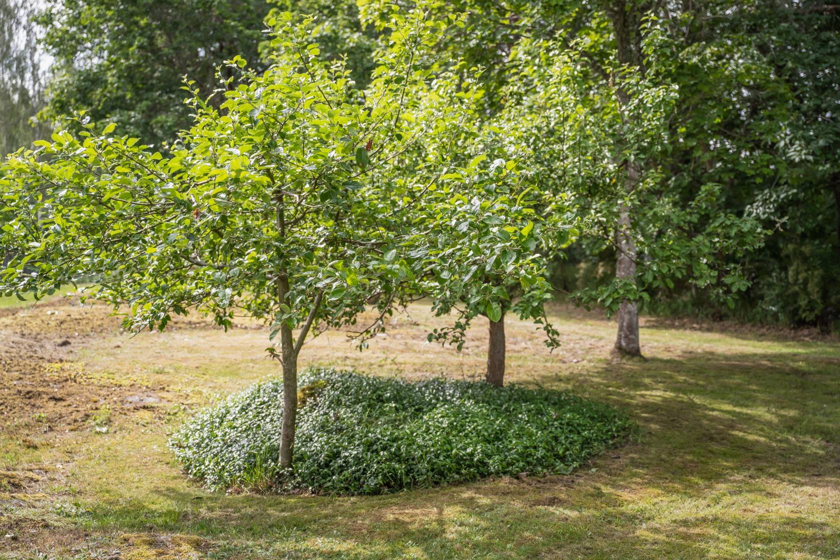 7 rum Villa på Travvägen 9 Bålsta - Västra Gillmarken Håbo kommun - bild 48