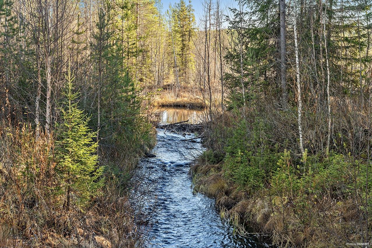 Gård med skogsbruk Älvdalens kommun - bild 11