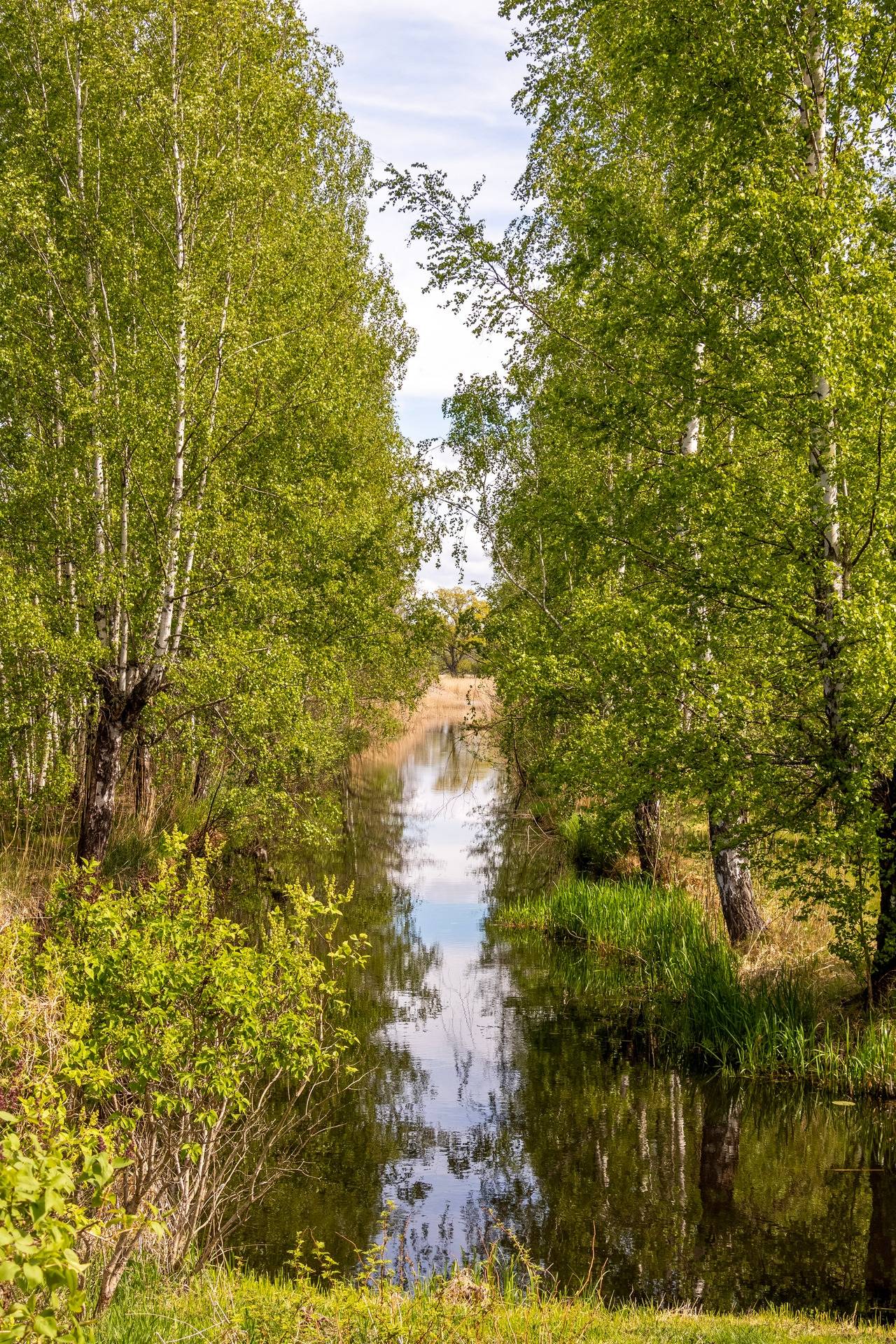 4 rum Villa på Nyckelövägen 13 Kvicksund Västerås kommun - bild 68
