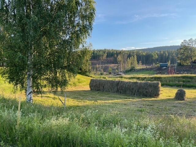 4 rum Gård/skog på Glombo 112 Hudiksvalls kommun - bild 9