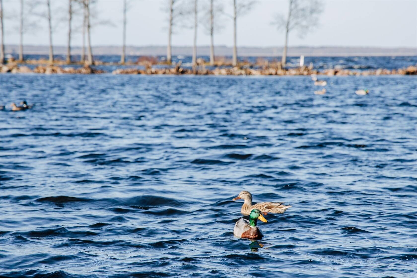 4 rum Villa på Strandstaden 18 Fagersanna/ransberg Tibro kommun - bild 35