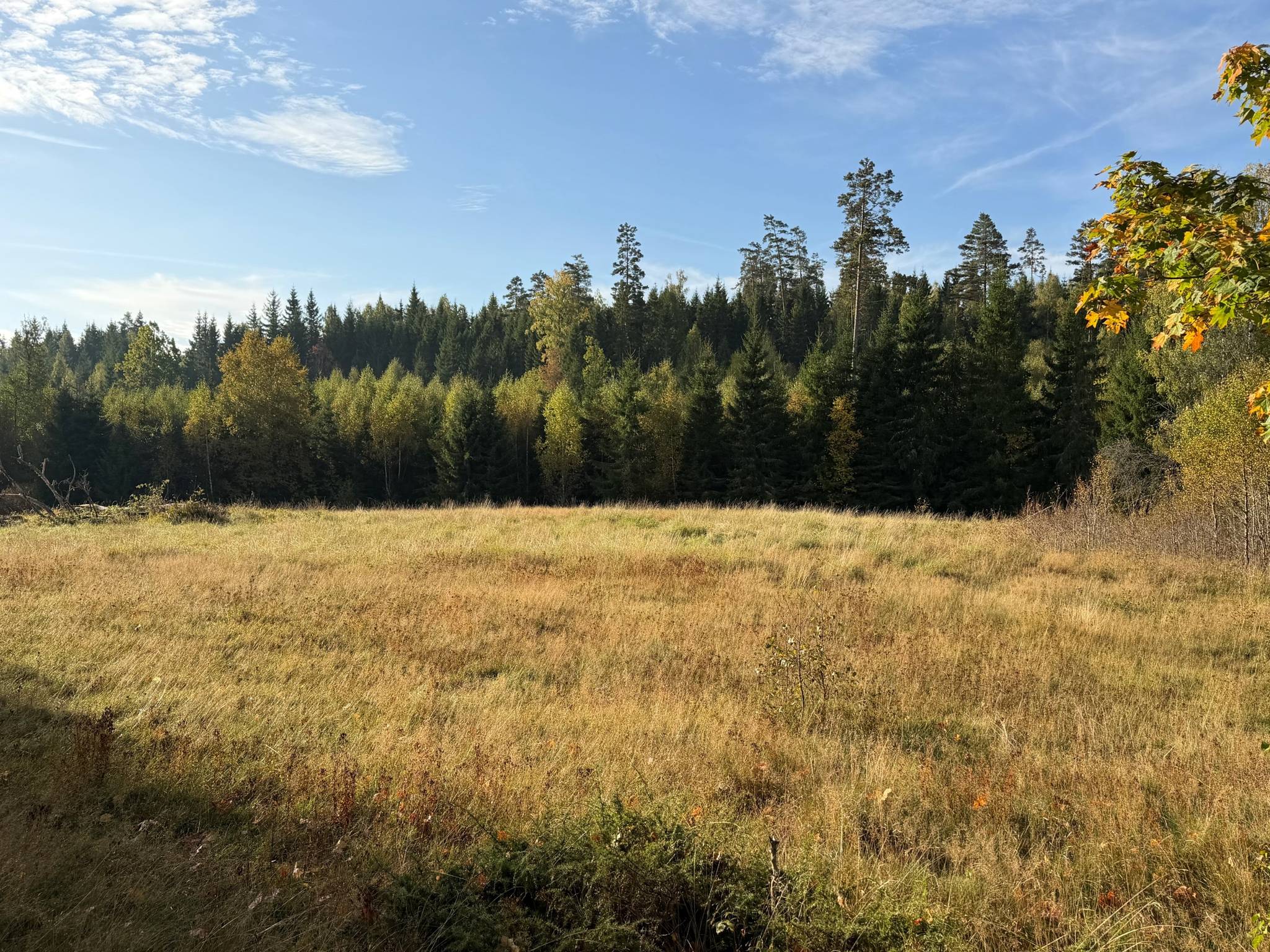 Gård/skog på Del av Hornaryd Hörnegård 2 Braås Växjö kommun - bild 10