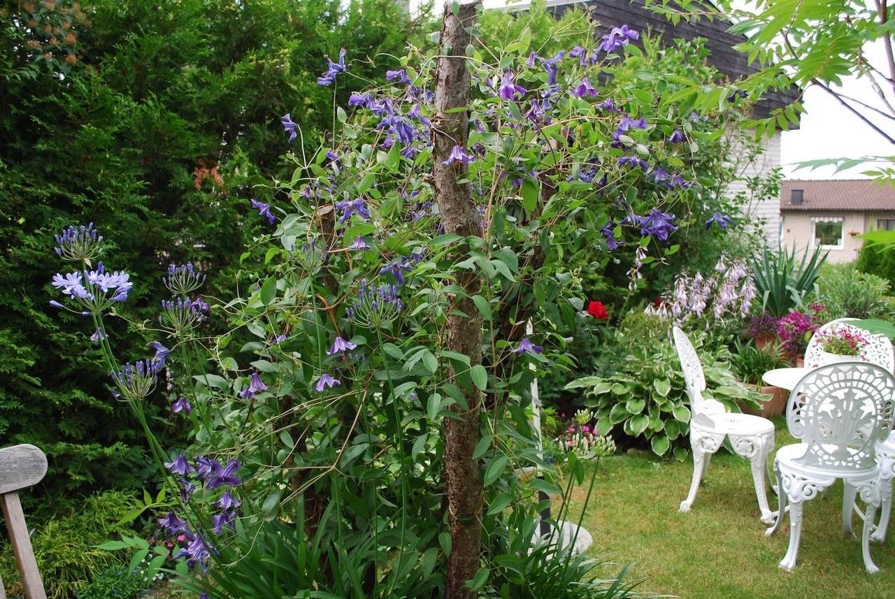 7 rum Villa på Ärtstigen 11 Huskvarna Öxnehaga Jönköpings kommun - bild 35