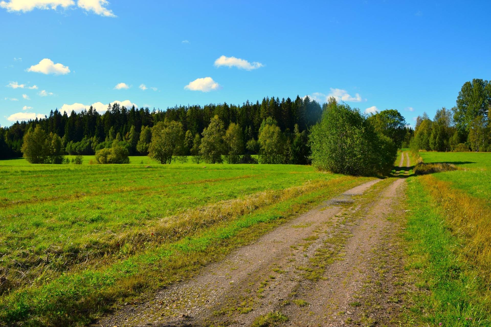 Gård med jordbruk på Snårbotten Laggartorp 23 Laggartorp Storfors kommun - bild 36