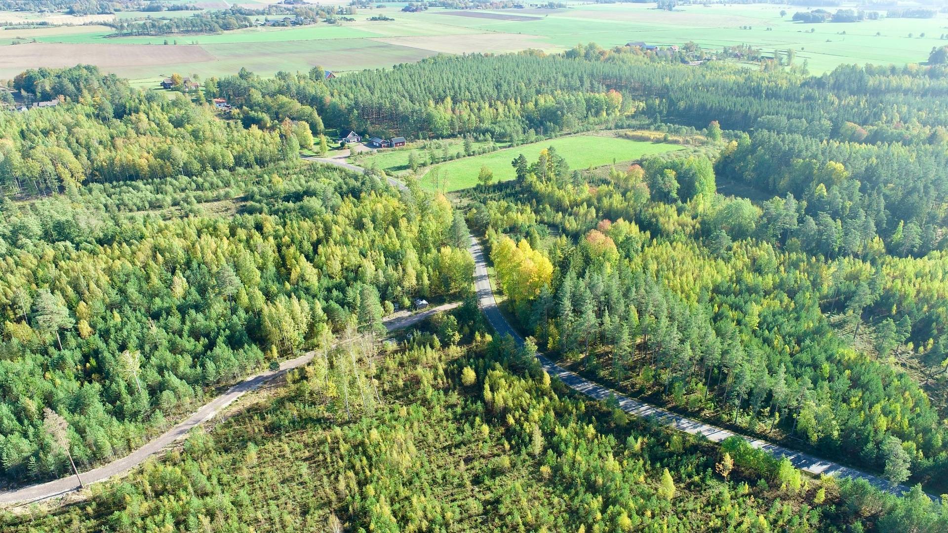 Gård med skogsbruk Binneberg Skövde kommun - bild 10