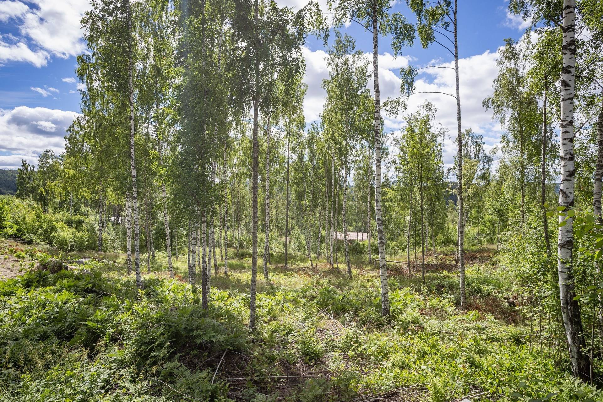 Tomt på Liljekonvaljbacken 3 Allsta Sundsvalls kommun - bild 6