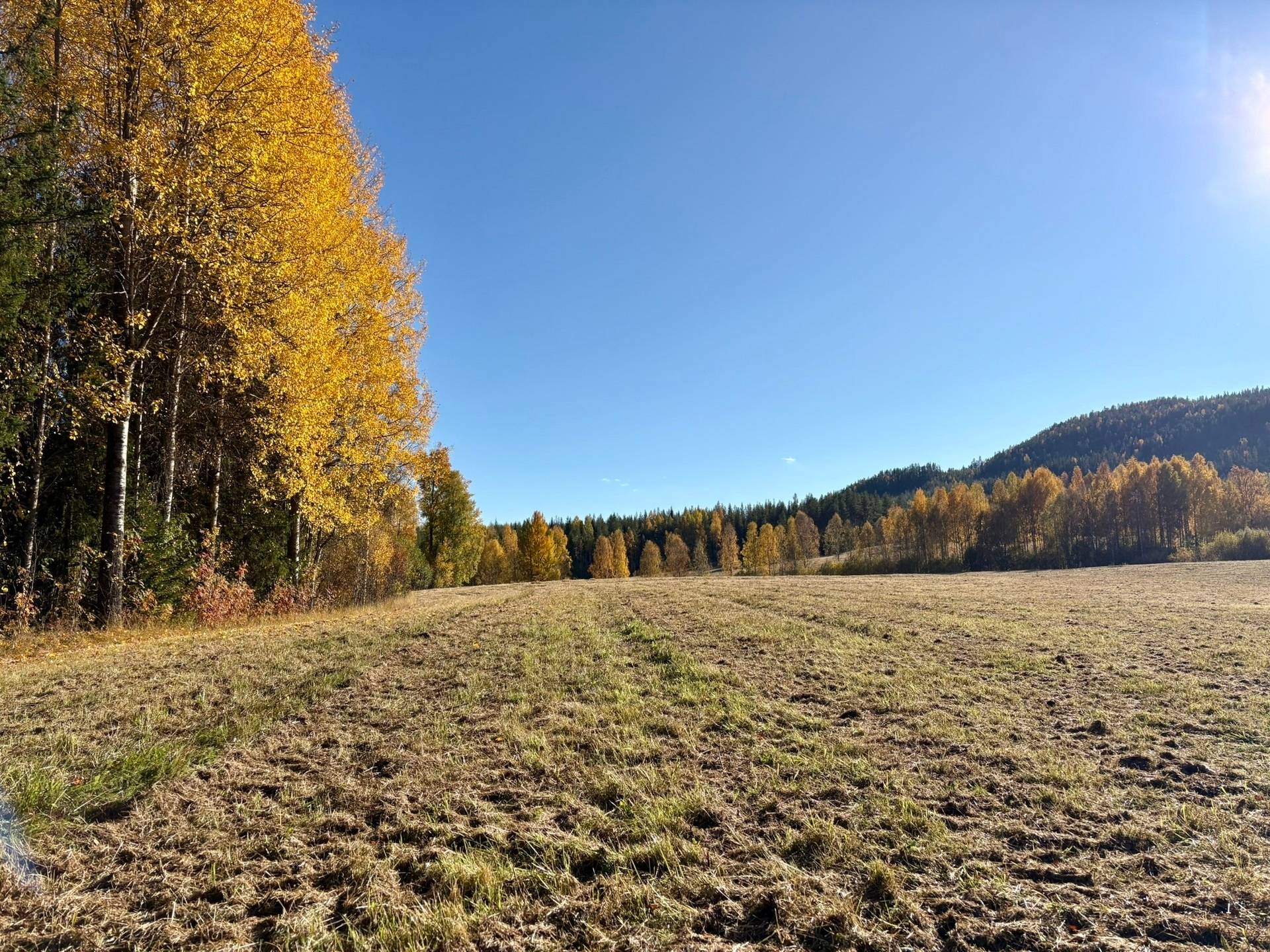Gård/skog på Örträsk 2:38 Lycksele kommun - bild 7