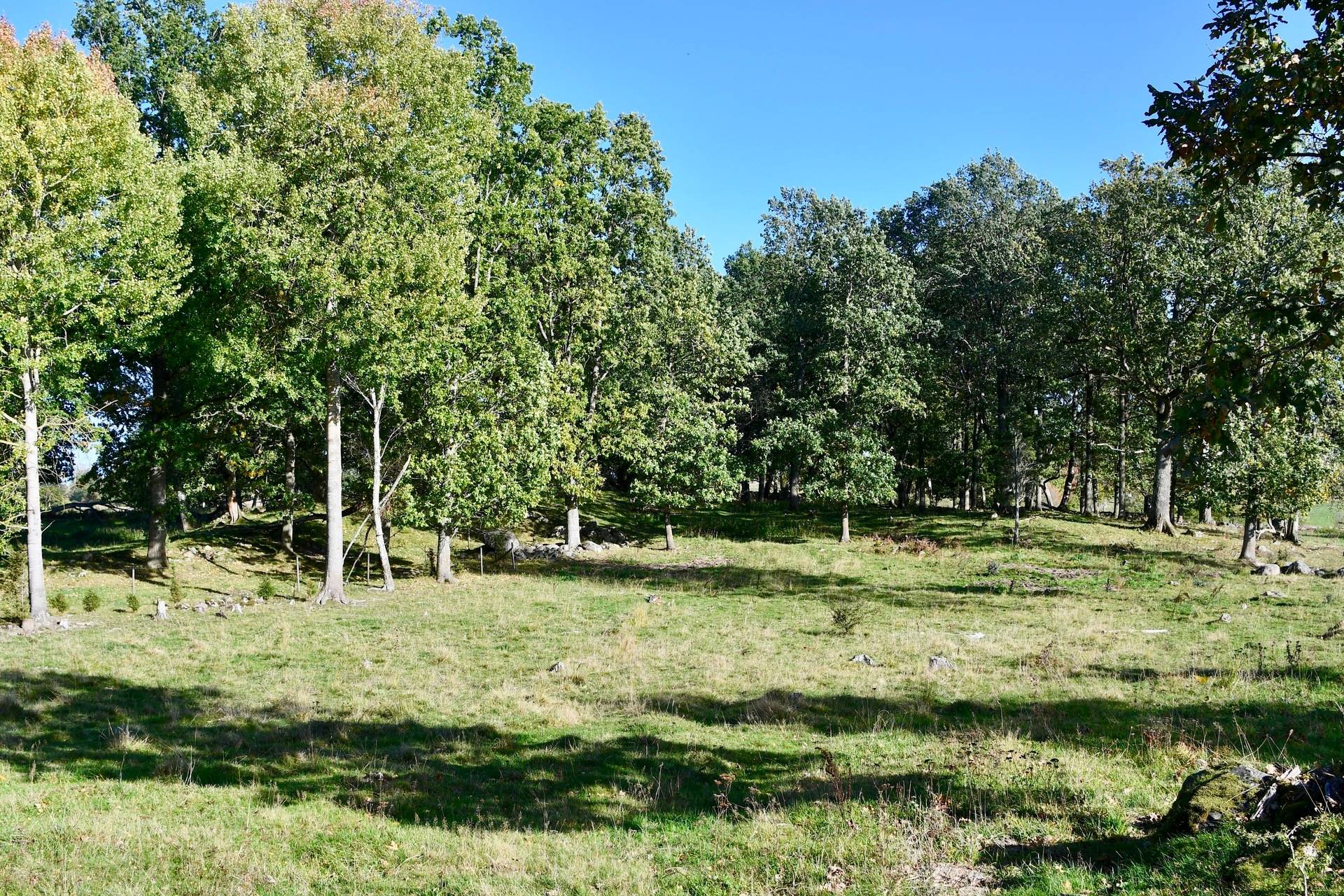 Gård med skogsbruk Binneberg Skövde kommun - bild 35