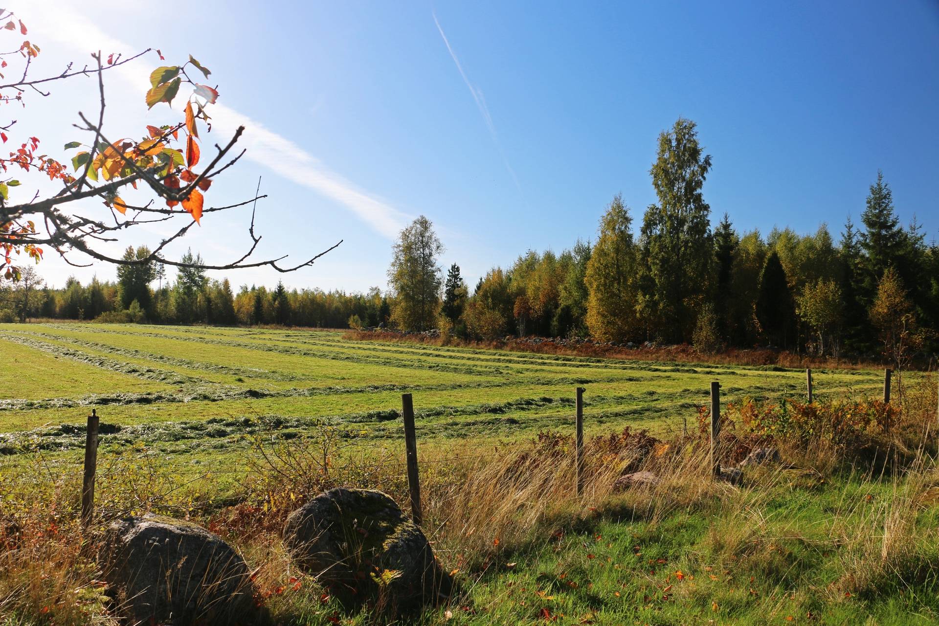 Gård med jordbruk på Älmekulla Ydre kommun - bild 2