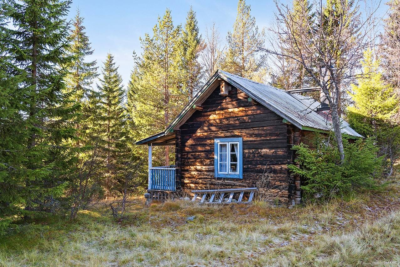 Gård med skogsbruk Älvdalens kommun - bild 4