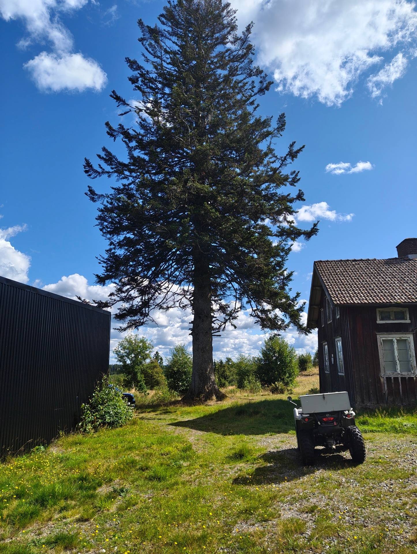 6 rum Gård med skogsbruk på Stockedalen 150 Alingsås Ale kommun - bild 10