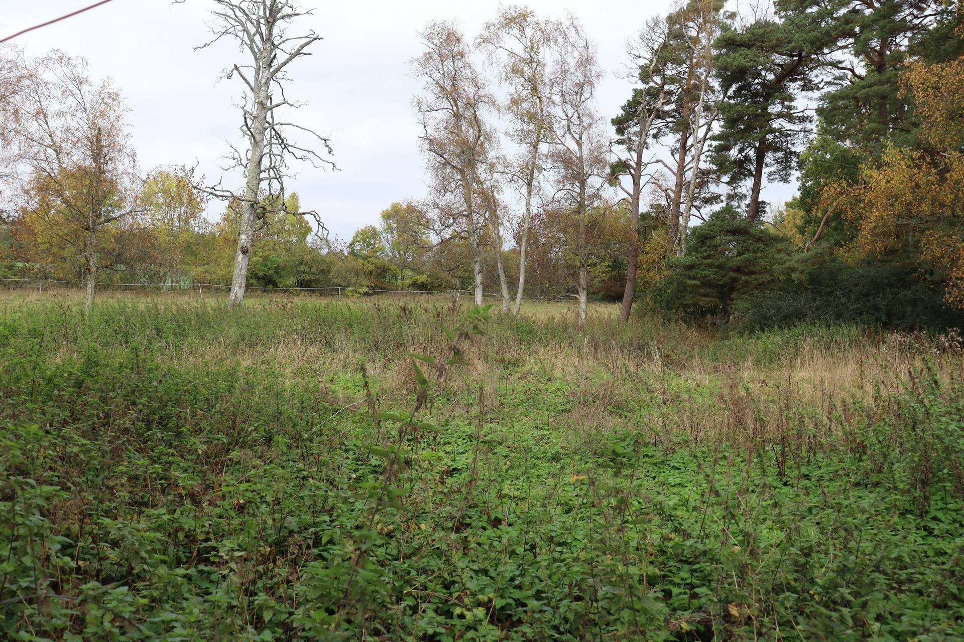 4 rum Gård utan jordbruk på Fardhem Rodarve 513 Fardhem - Södra Gotland Gotlands kommun - bild 53