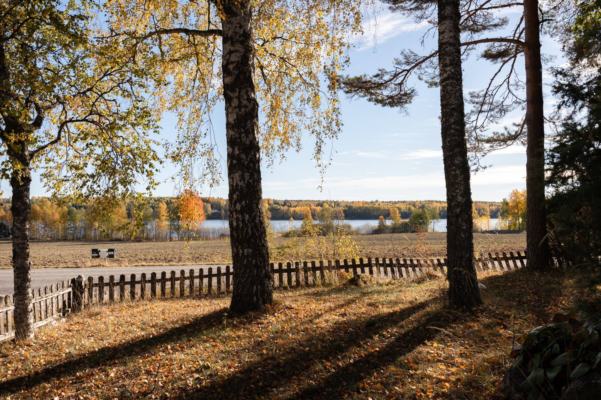 2 rum Fritidshus på Norra Långsvansvägen 1 Färna Skinnskattebergs kommun - bild 40