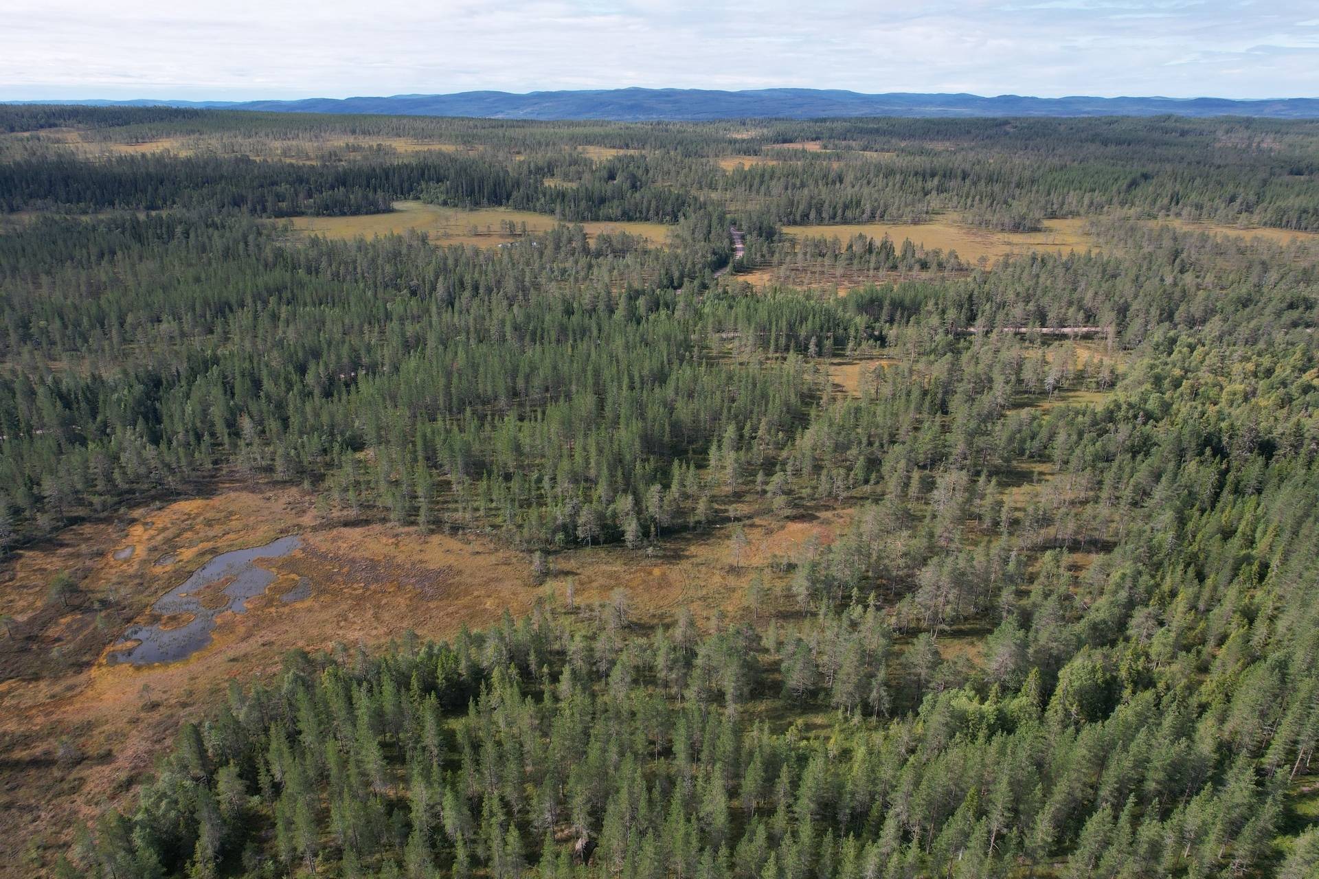 Gård med skogsbruk på Skålmo Malung-Sälens kommun - bild 6