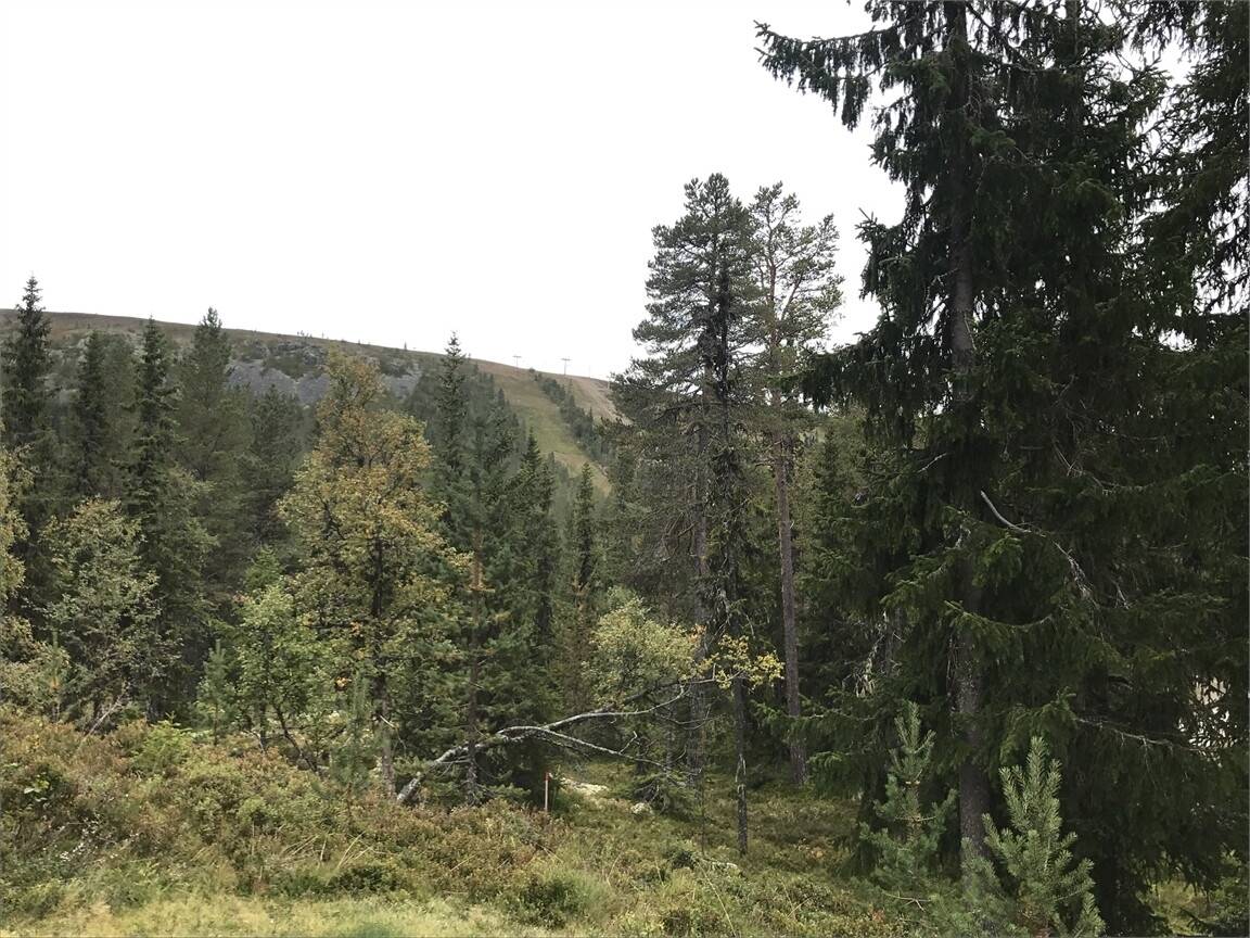 3 rum Fritidsboende på Paradisvägen 9A Idre Fjäll Älvdalens kommun - bild 48