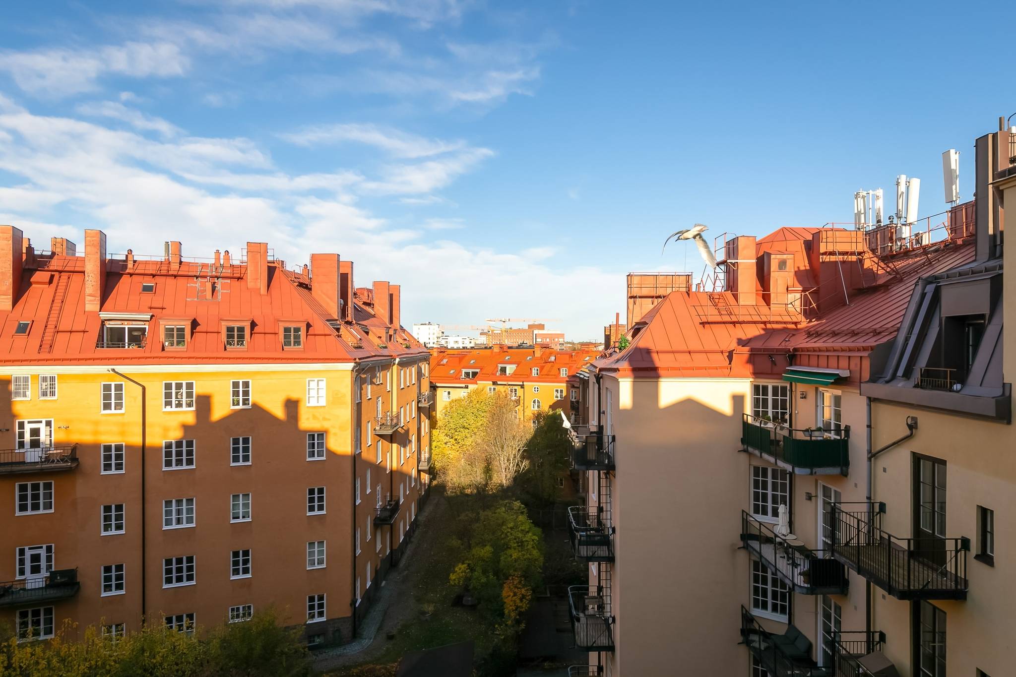 5 rum Lägenhet på Vanadisvägen 32, 5 tr Vasastan Odenplan Stockholms kommun - bild 13
