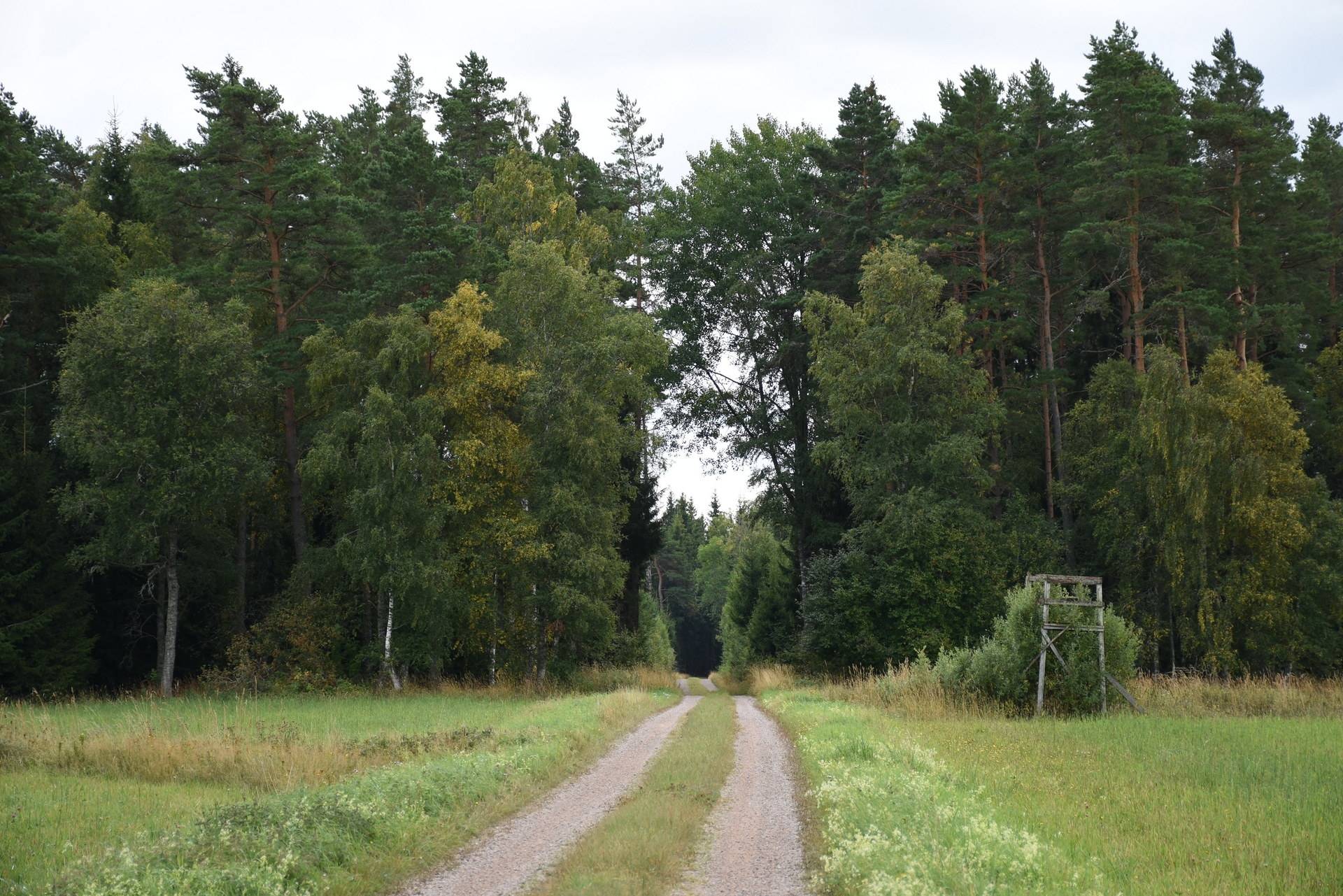 Gård med skogsbruk på Asby Släna 1 Dädesjö Växjö kommun - bild 16