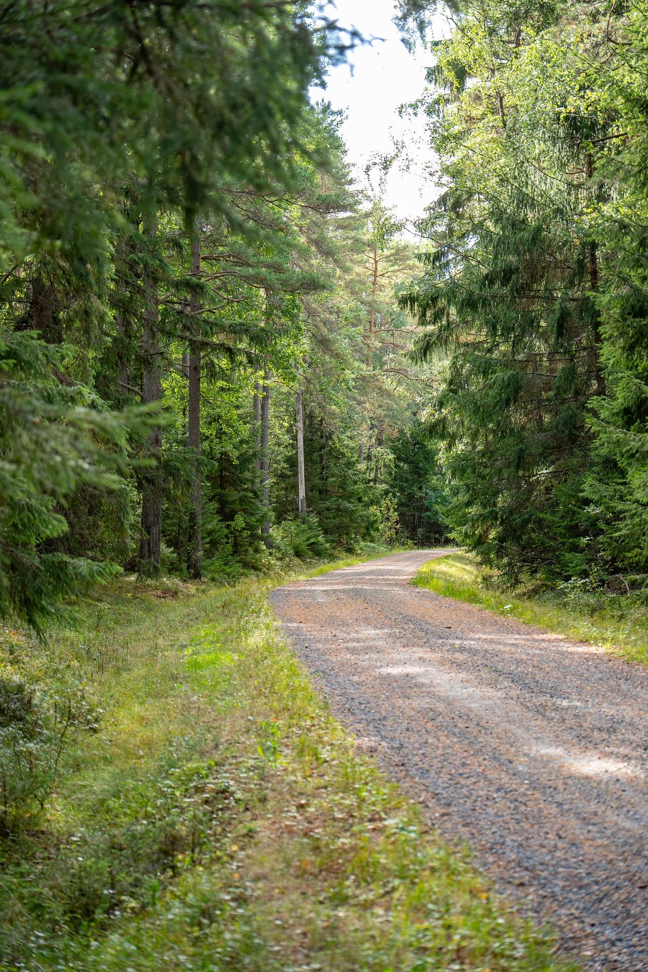 Gård med jordbruk på Övergården Säffle kommun - bild 41