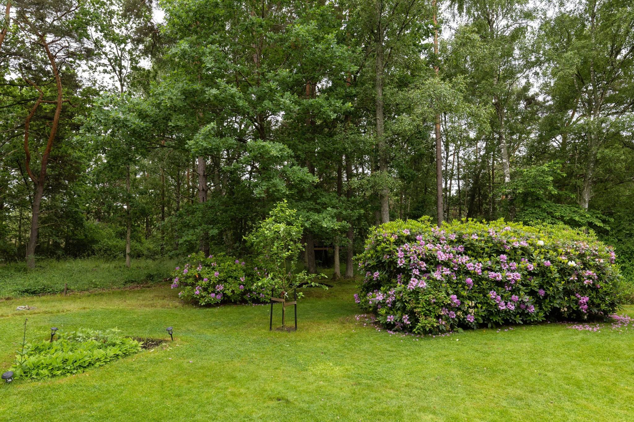 5 rum villa på Boholmsvägen 14 Boholmarna, Kalmar kommun - bild 4