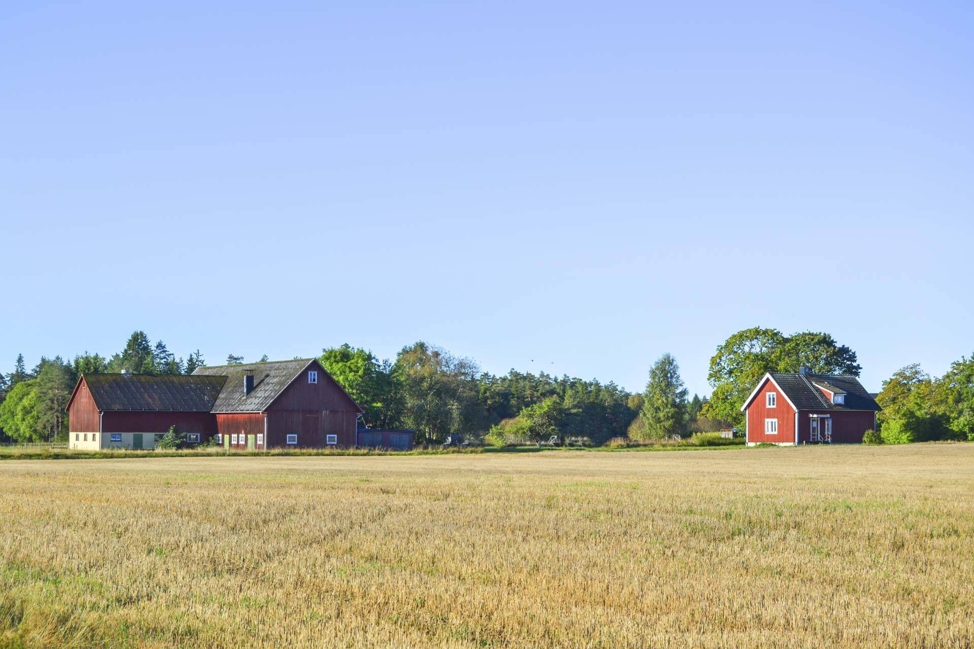 Gård/skog på Gassljunga Norrgård Långaryd Hylte kommun - bild 1