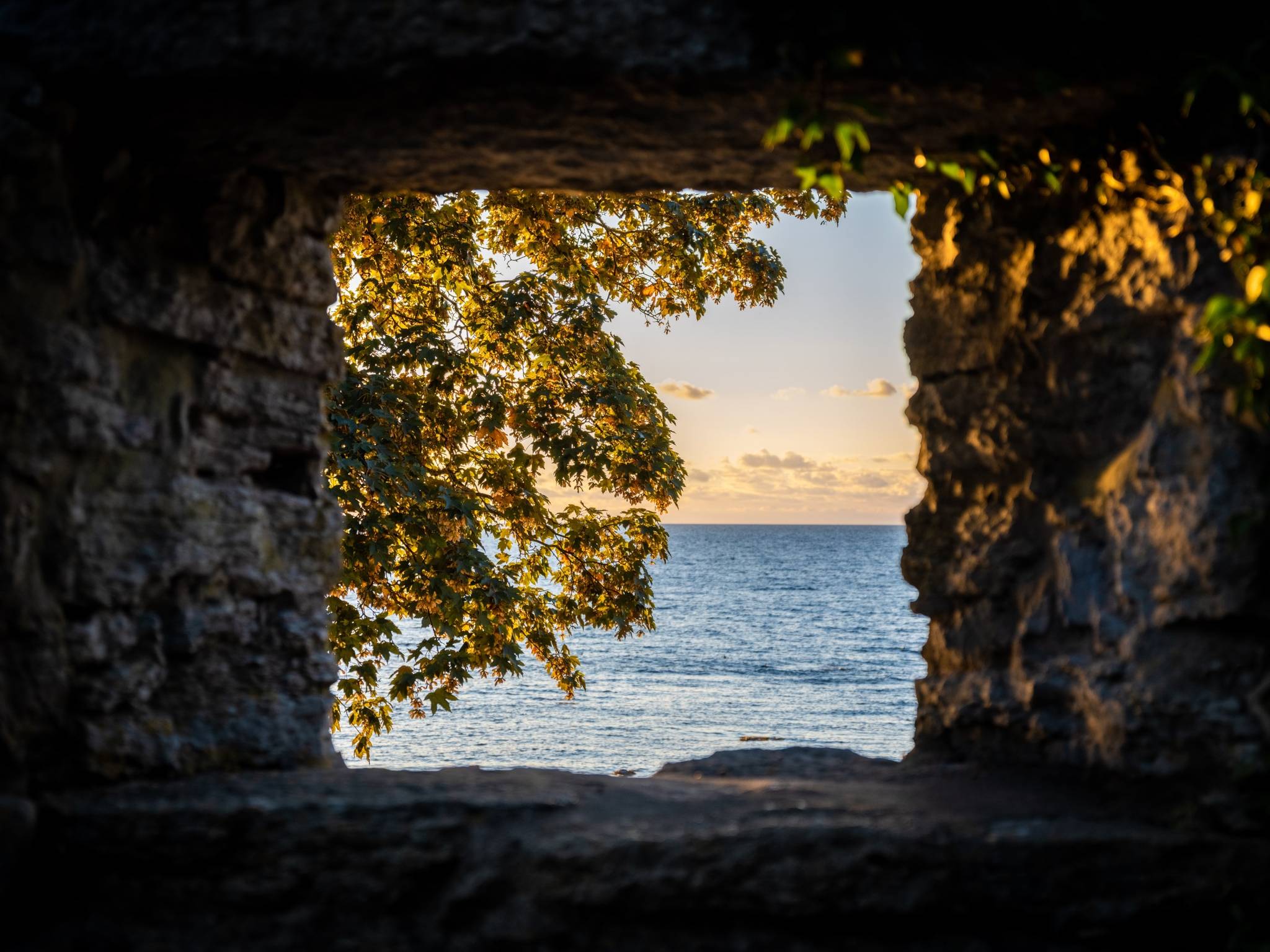 2 rum Lägenhet på Norra Kyrkogatan 8A Visby Gotlands kommun - bild 31