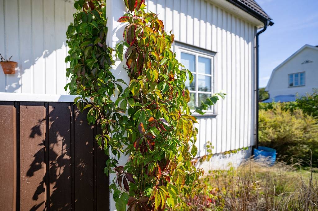 4 rum Villa på Kolarevägen 15 Bengtsfors kommun - bild 37
