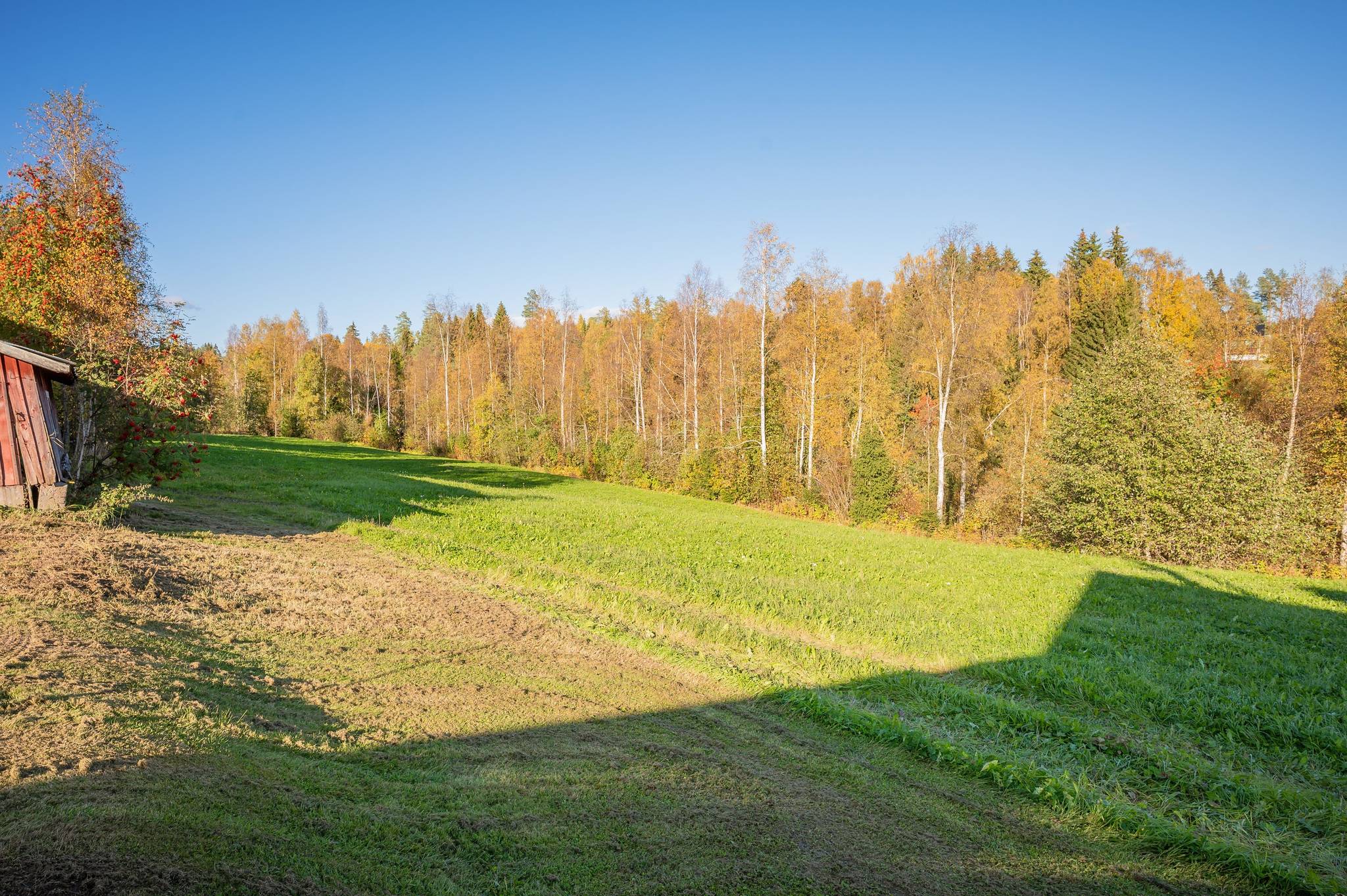 5 rum Gård/skog på Önska 122 Önska Örnsköldsviks kommun - bild 46