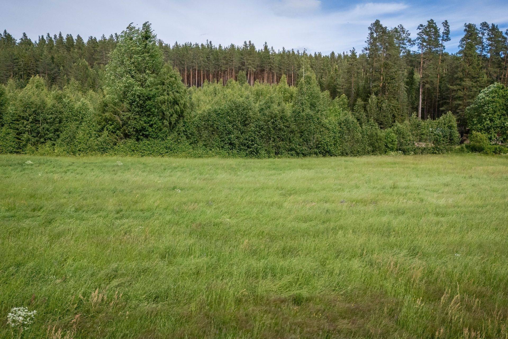 Gård/skog Ljusdals kommun - bild 15