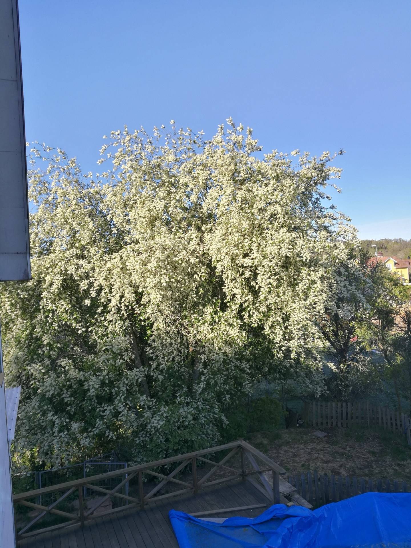 6 rum Villa på Nyblaeus väg 5 Åkers Styckebruk / Forsa Strängnäs kommun - bild 49