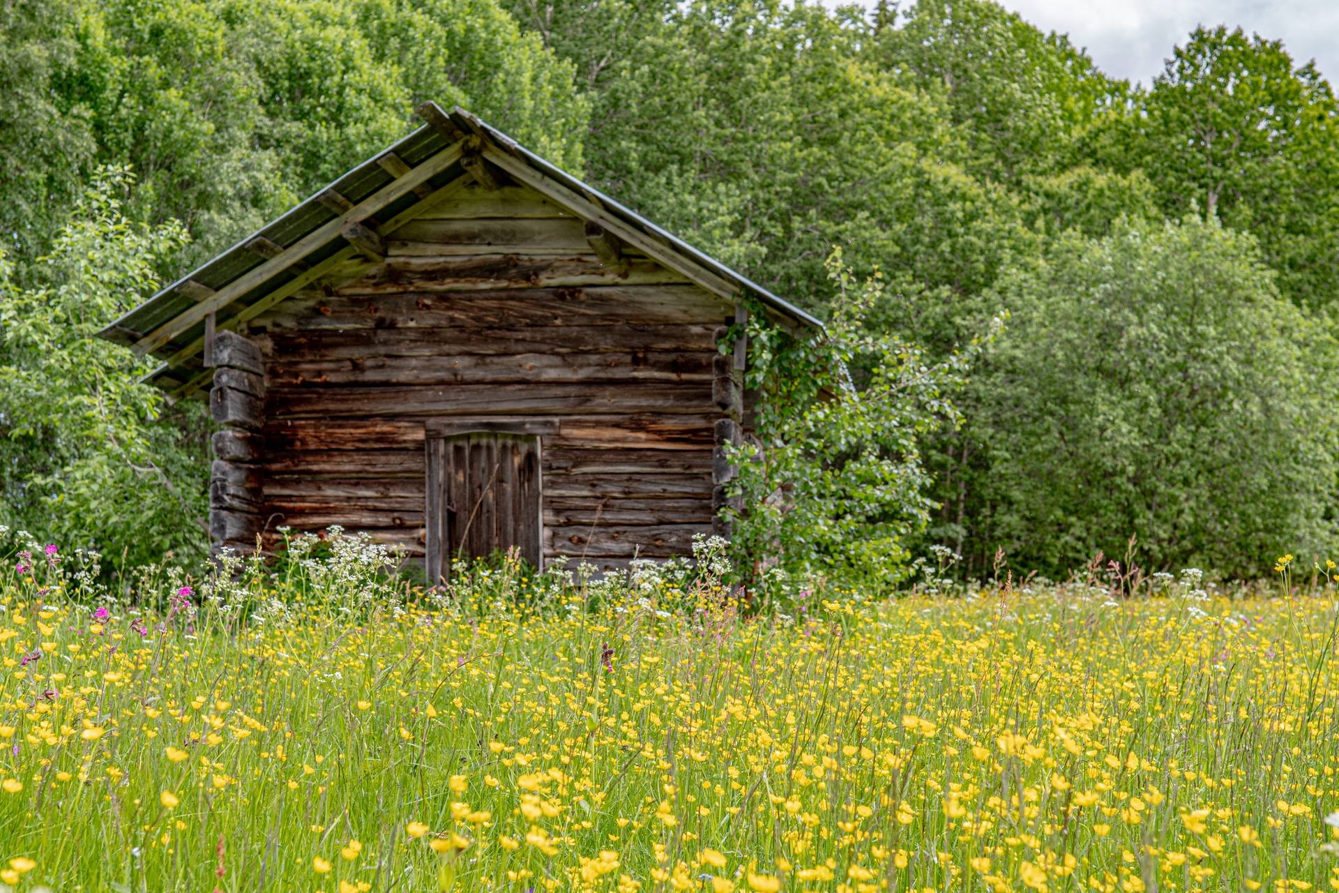 6 rum Gård utan jordbruk på Lomselenäs 436 Blattnicksele Sorsele kommun - bild 45