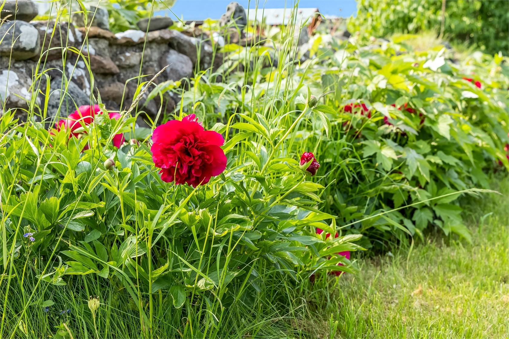 4 rum Villa på Långörevägen 39 Bredsättra Borgholms kommun - bild 8