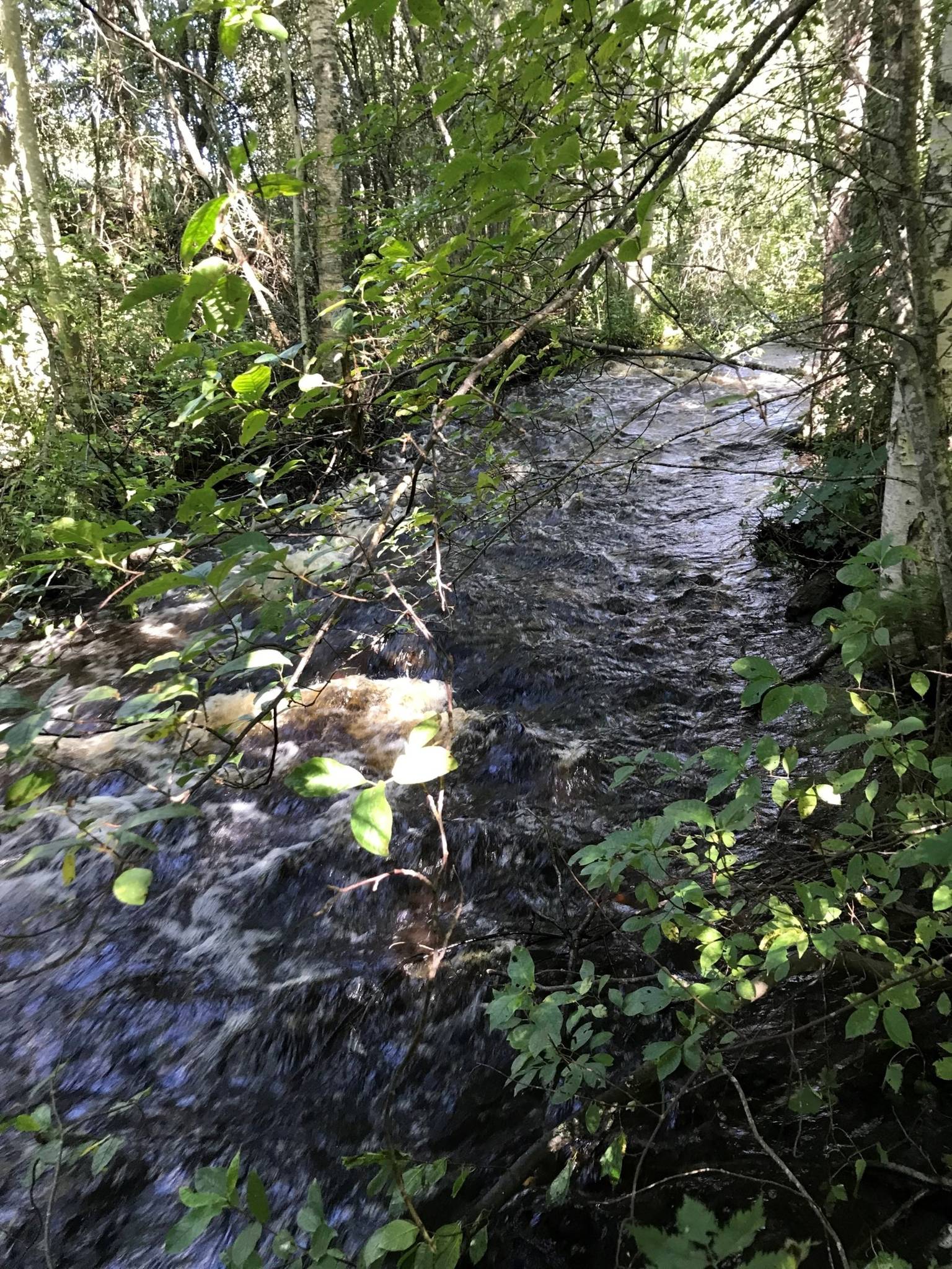 8 rum Villa på Norrviksvägen 10 Norrvik Ludvika kommun - bild 60