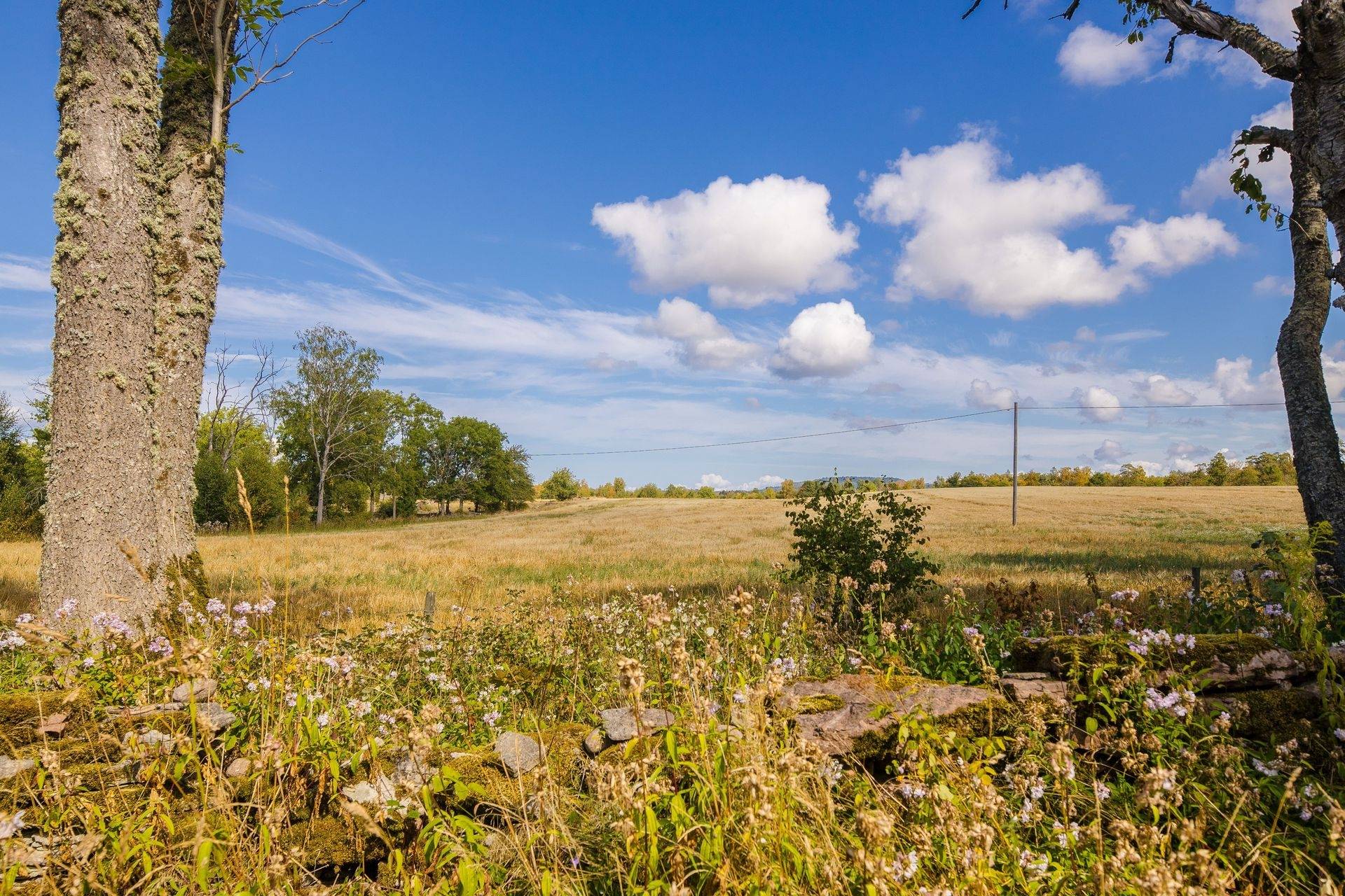 2 rum Villa på Kinnekulle Blomtorp 1 Källby Götene kommun - bild 22