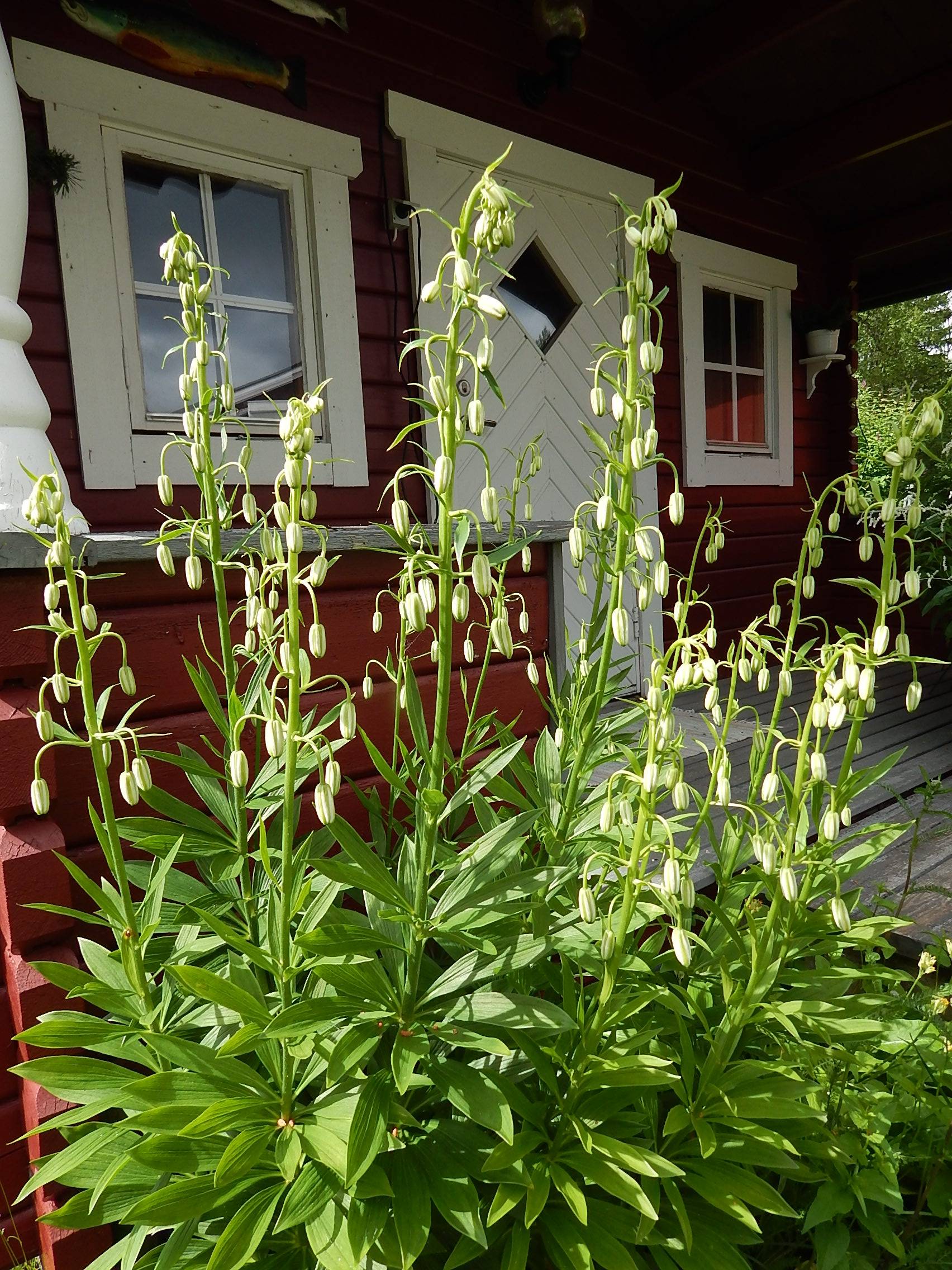 5 rum Villa på Färdmansvägen 7 Funäsdalen Härjedalens kommun - bild 58