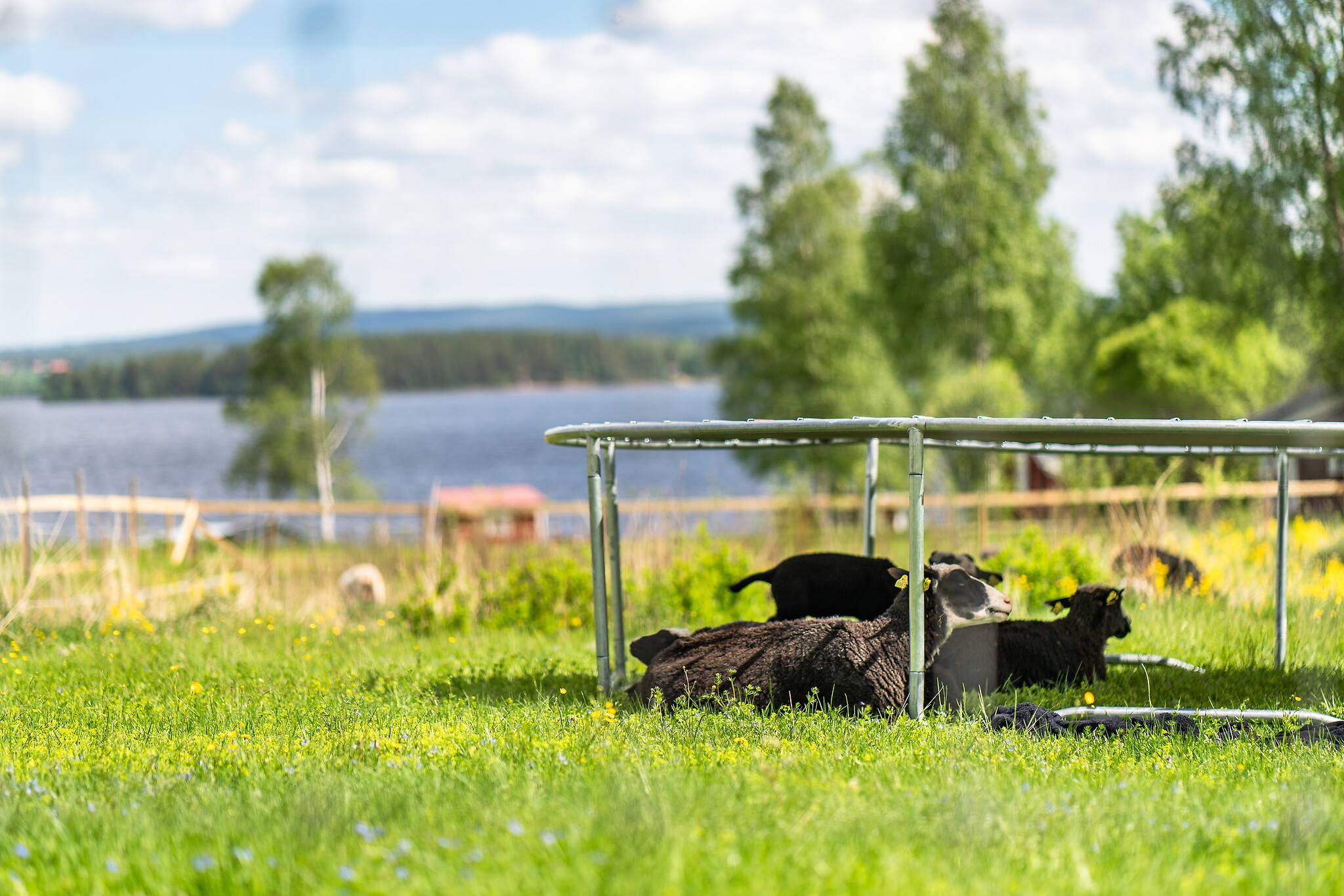 3 rum Villa på Arvet Särnagårdsvägen 8 Arvet Rättviks kommun - bild 28