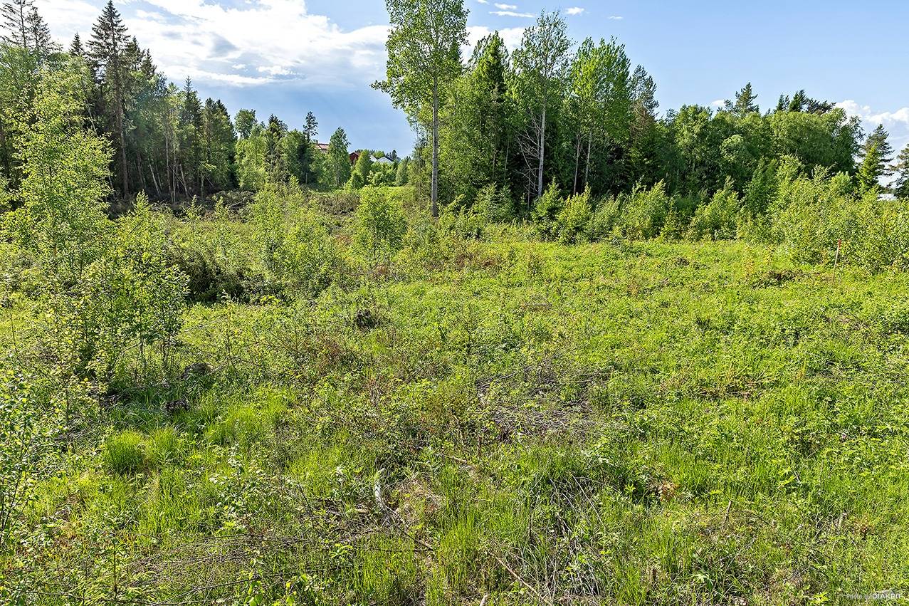 tomt på Sunne-Gärde 2:52 Orrviken, Östersunds kommun - bild 4