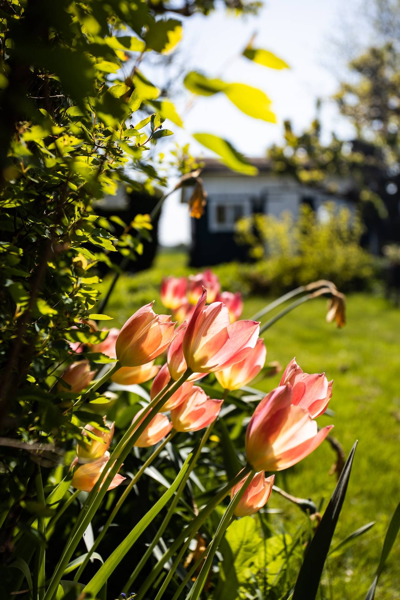 5 rum Villa på Rågången 386 Höganäs kommun - bild 6