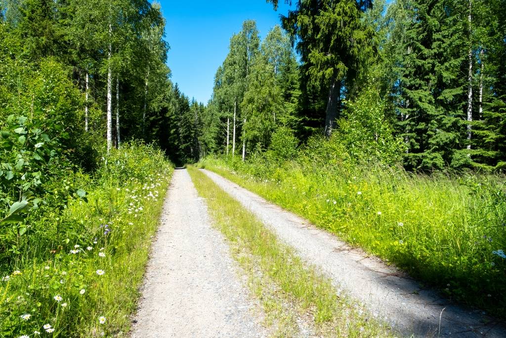 6 rum Fritidshus på Södra Sannäs 87 Delsbo Hudiksvalls kommun - bild 32