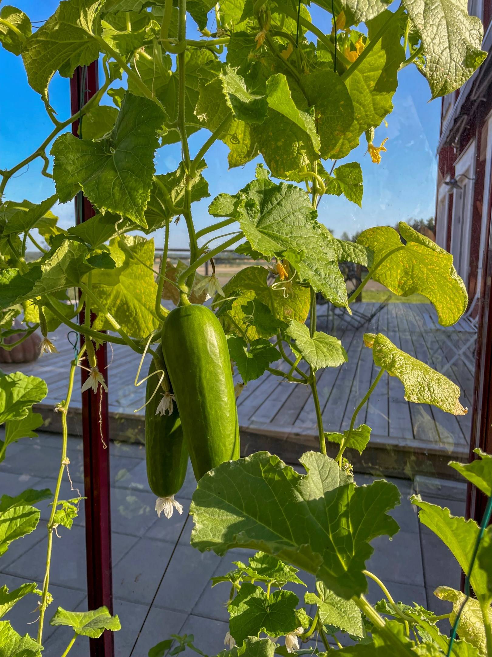 6 rum Villa på Venngarn 286 Wenngarn Sigtuna kommun - bild 43