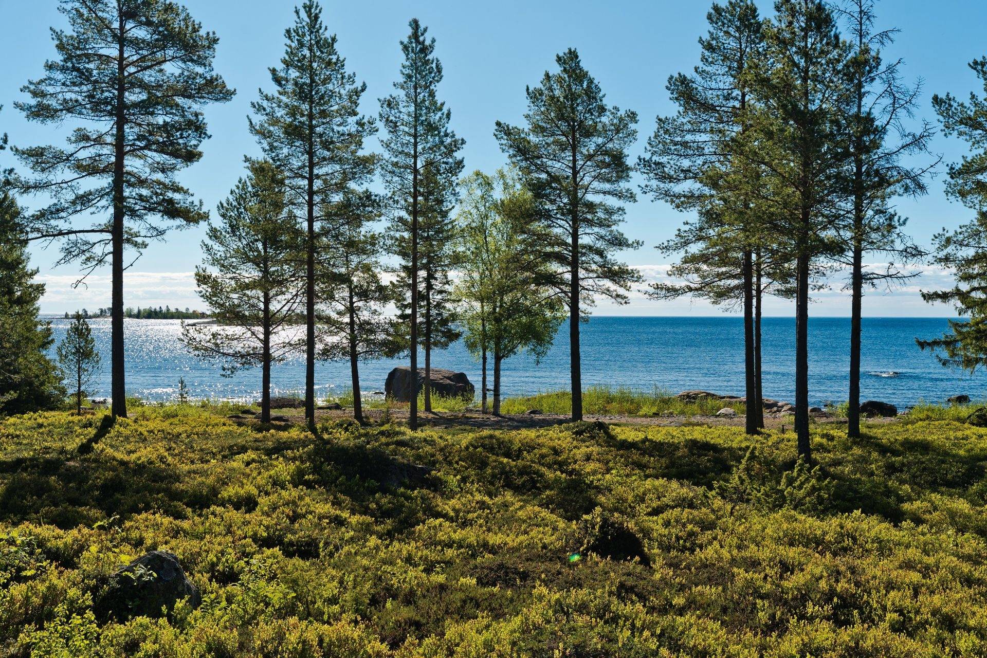 3 rum Villa på Noret 247 Lövånger Skellefteå kommun - bild 23