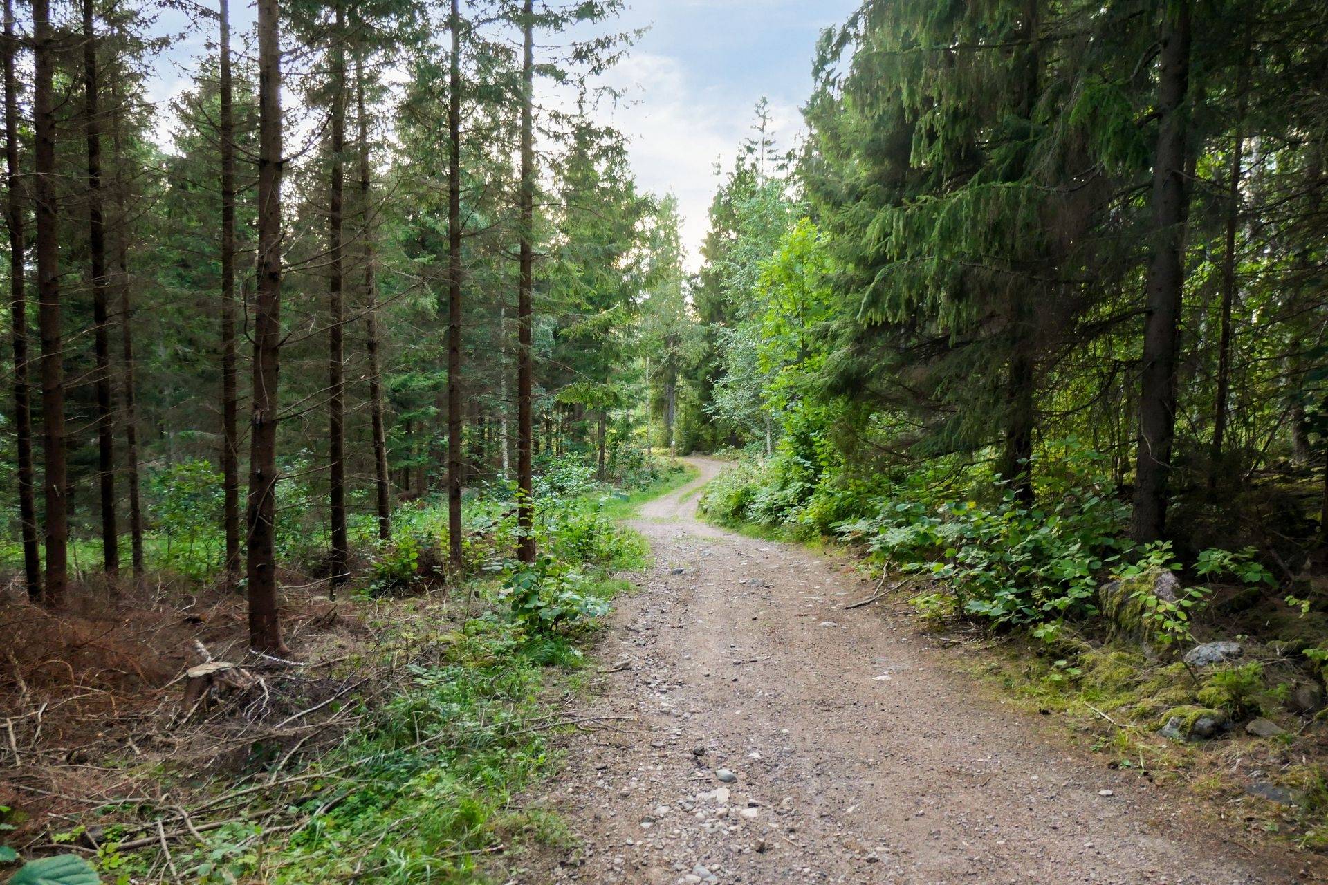 Hova, Gullspångs kommun
