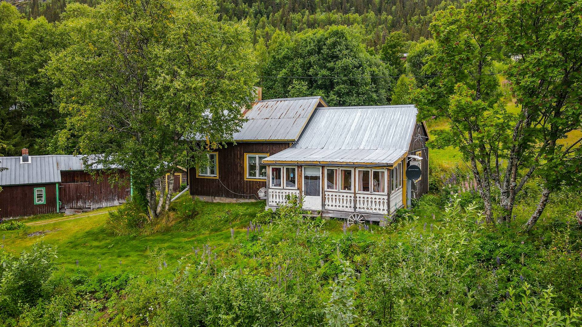 3 rum Gård/skog på Matsdal 42 Dikanäs Vilhelmina kommun - bild 29